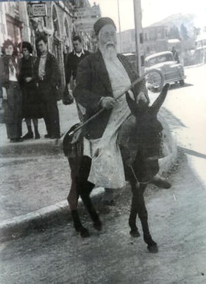 תמונה מהספר