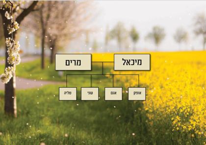 תמונה מתוך משפחת משה אוחנה